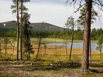Фото номера Дом для отпуска Дома для отпуска Holiday Home Villa biegga г. Kyrö 10