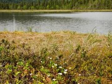 Фото номера Дом для отпуска Дома для отпуска Holiday Home Villa biegga г. Kyrö 11
